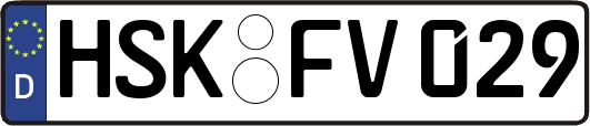 HSK-FV029