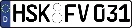 HSK-FV031