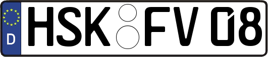 HSK-FV08