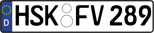 HSK-FV289