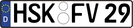 HSK-FV29