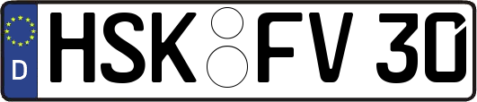 HSK-FV30