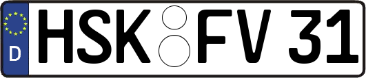 HSK-FV31
