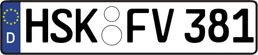 HSK-FV381