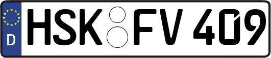 HSK-FV409