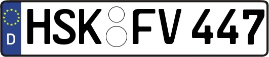 HSK-FV447