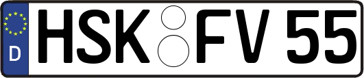 HSK-FV55