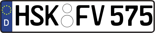 HSK-FV575