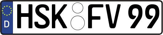 HSK-FV99