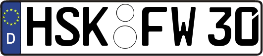 HSK-FW30