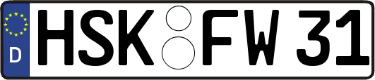 HSK-FW31
