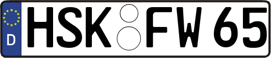 HSK-FW65