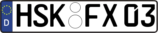 HSK-FX03