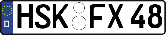 HSK-FX48