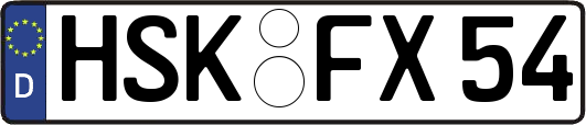 HSK-FX54