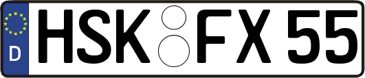 HSK-FX55
