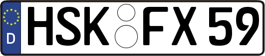 HSK-FX59