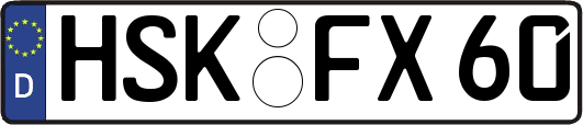HSK-FX60