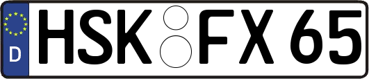 HSK-FX65