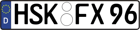 HSK-FX96