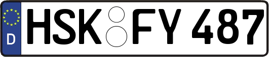 HSK-FY487