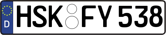 HSK-FY538