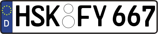 HSK-FY667