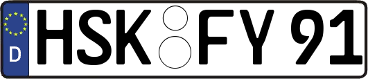 HSK-FY91