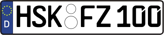 HSK-FZ100