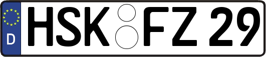 HSK-FZ29