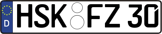 HSK-FZ30