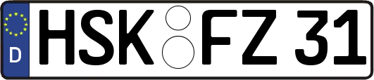HSK-FZ31