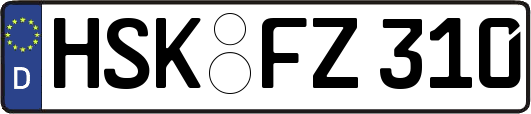 HSK-FZ310