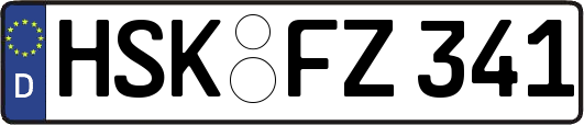 HSK-FZ341