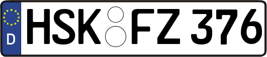 HSK-FZ376