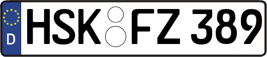 HSK-FZ389
