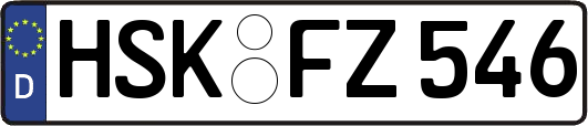 HSK-FZ546