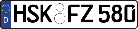 HSK-FZ580