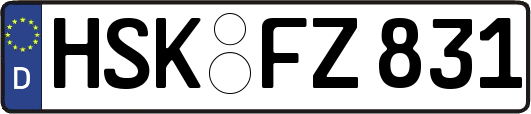 HSK-FZ831