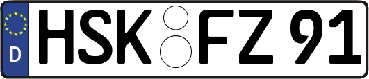 HSK-FZ91