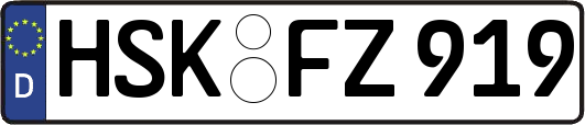 HSK-FZ919