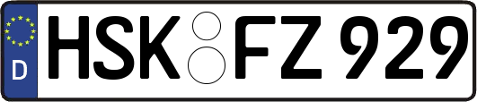 HSK-FZ929