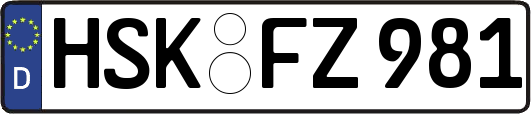 HSK-FZ981