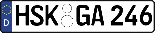 HSK-GA246