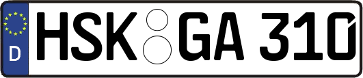 HSK-GA310
