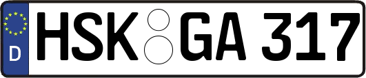 HSK-GA317