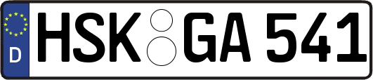 HSK-GA541