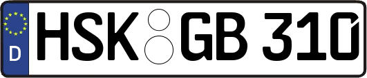 HSK-GB310
