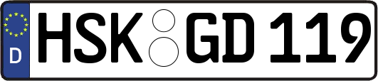 HSK-GD119