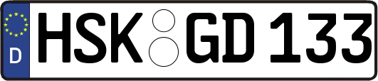 HSK-GD133